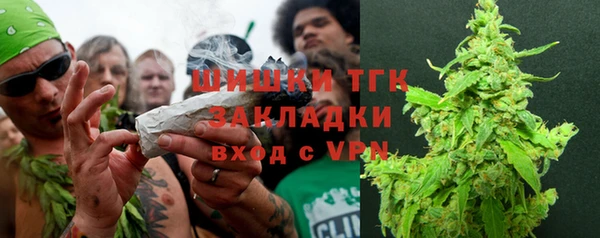 шишки Пестово